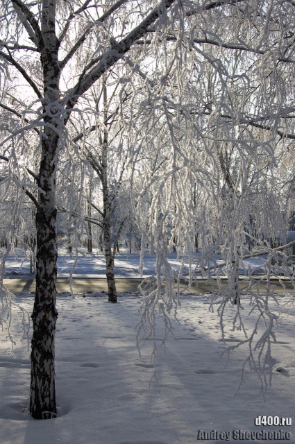 Барнаул зимние зарисовки