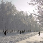 Барнаул зимние зарисовки