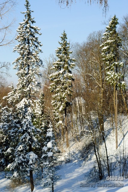 горки лененские зимние фото