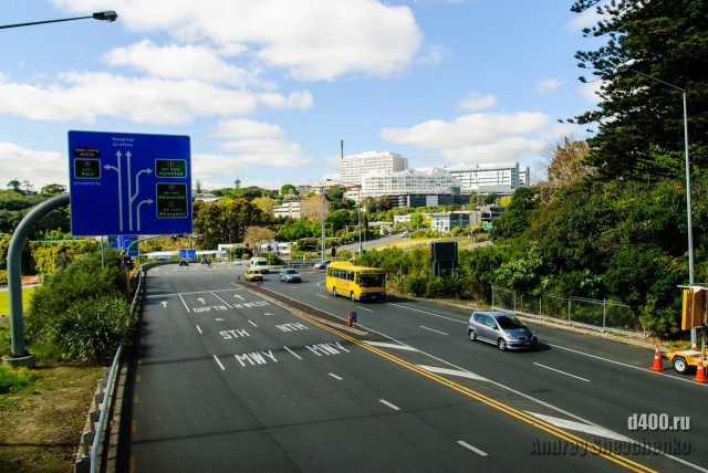 Auckland coast to coast walkway (38)